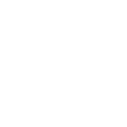 Thomas Payr Fitness Consulting Logo